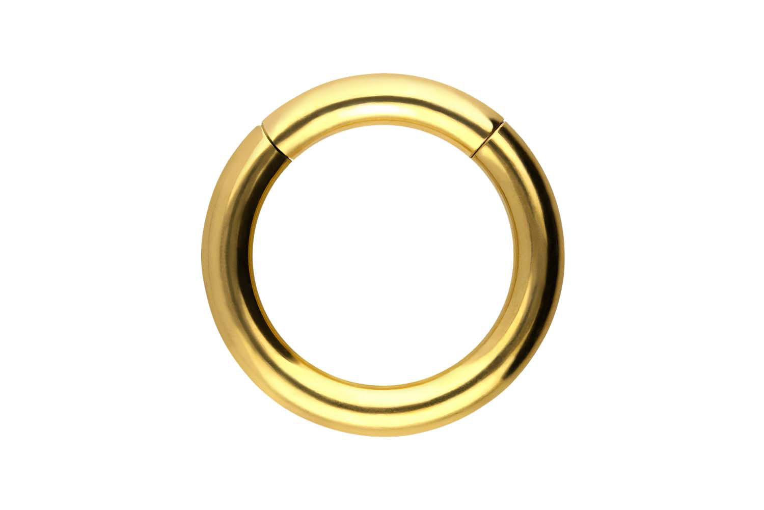 Chirurgenstahl Segmentring Clicker Piercing